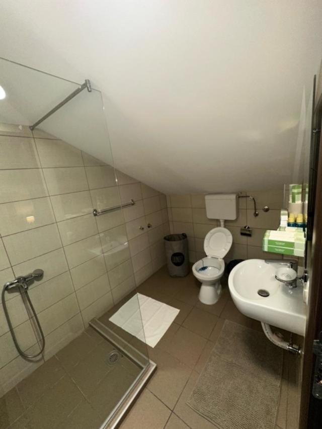 Jp Motel Mali Pariz Бор Экстерьер фото